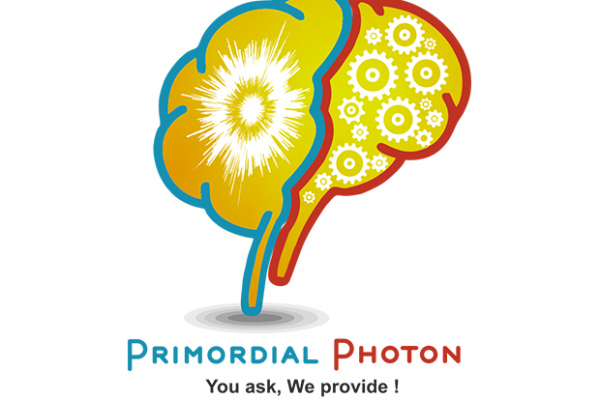 Primordial Photon