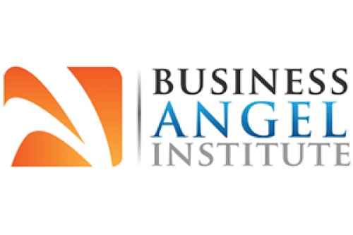 Business Angel Institute