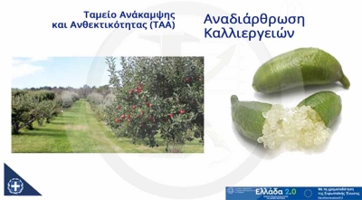 Αναδιάρθρωση καλλιεργειών - (ΤΑΑ) Ταμείο Ανάκαμψης και Ανθεκτικότητας