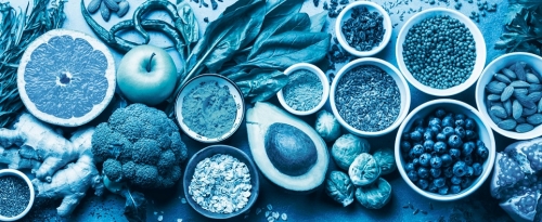 Νέο Τρόφιμο